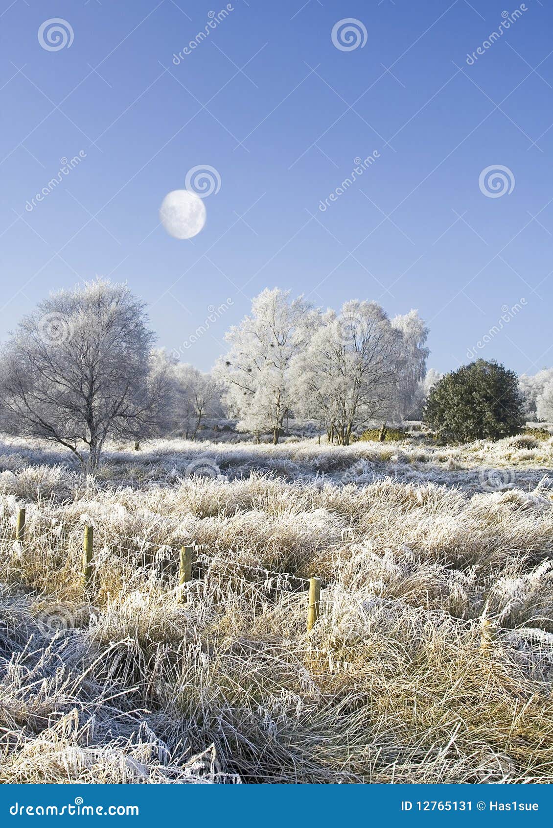 moon and wintry countryside