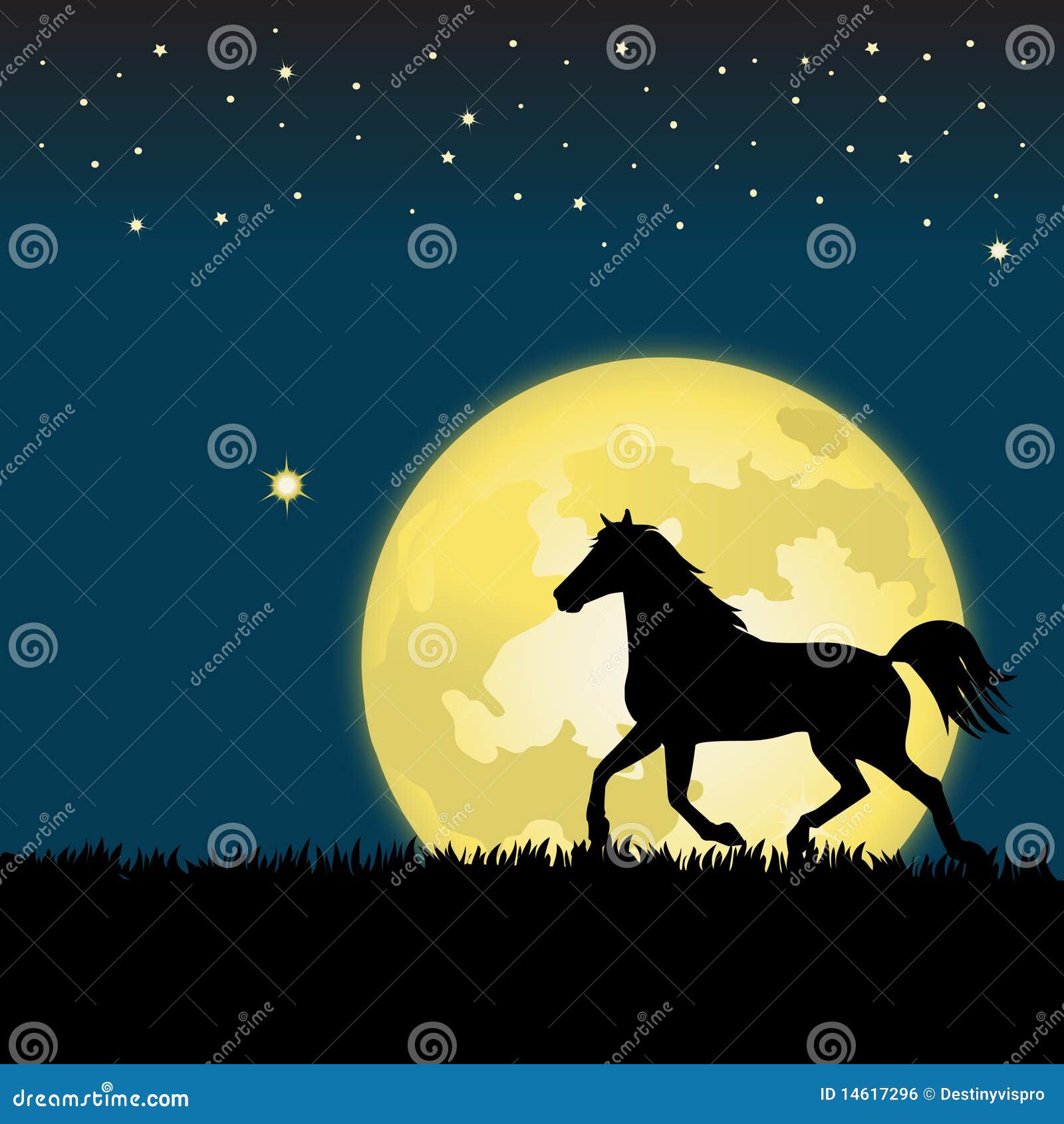 moonlight horse