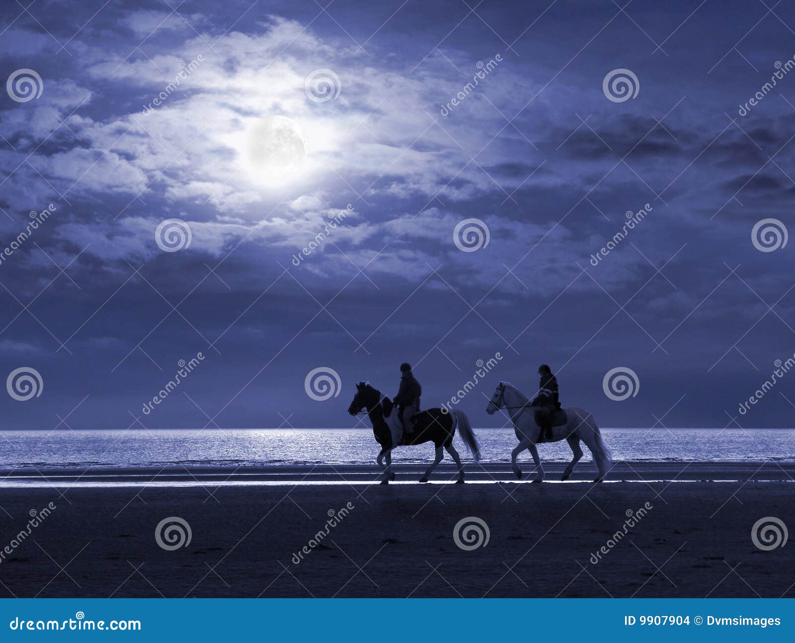 moonlit beach and horseriders