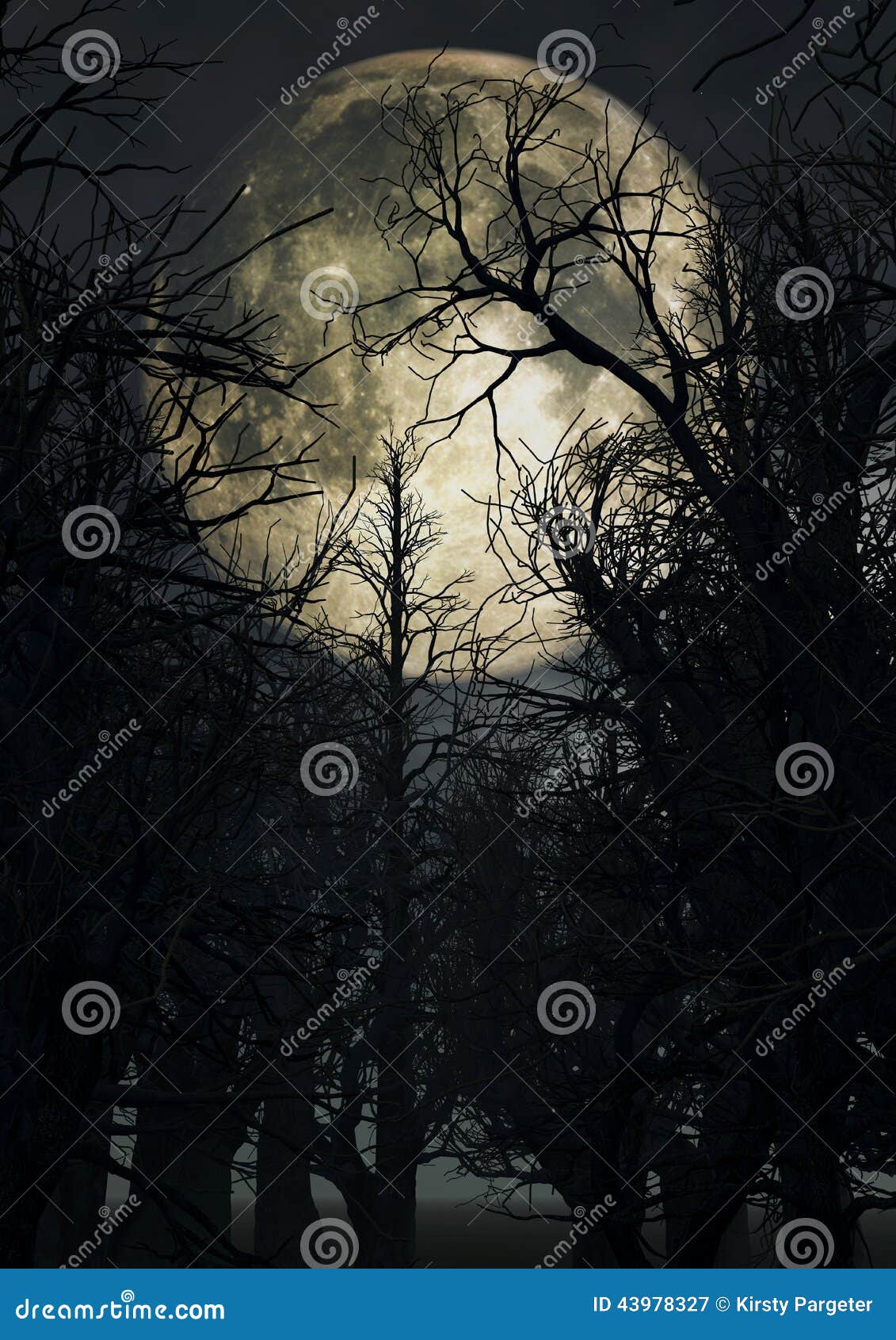 moonlit sky with spooky trees