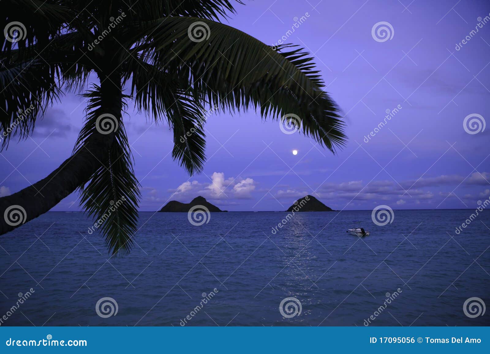 moonrise in hawaii