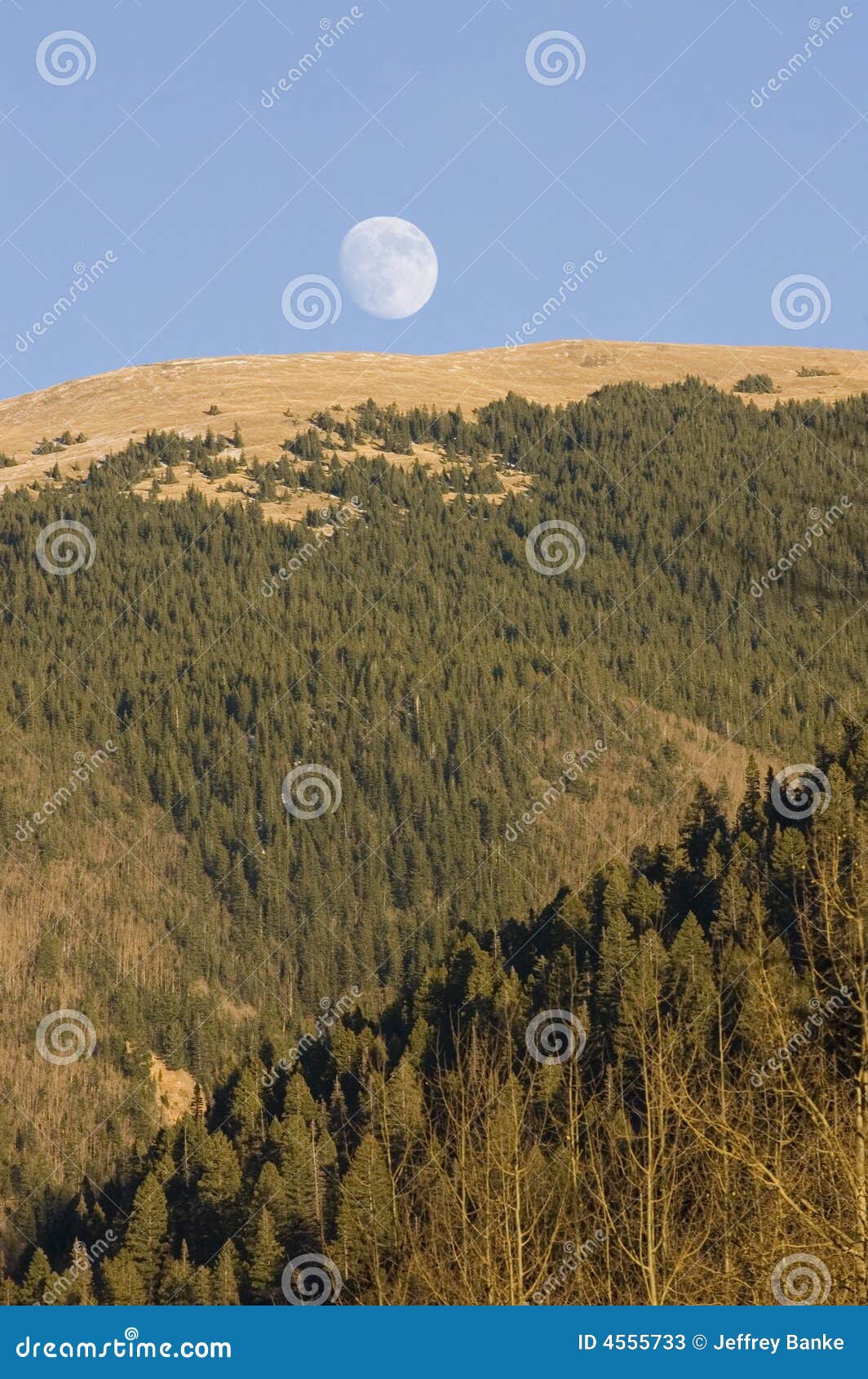 Moonrise over New Mexico stock image. Image of snow, moonrise 4555733