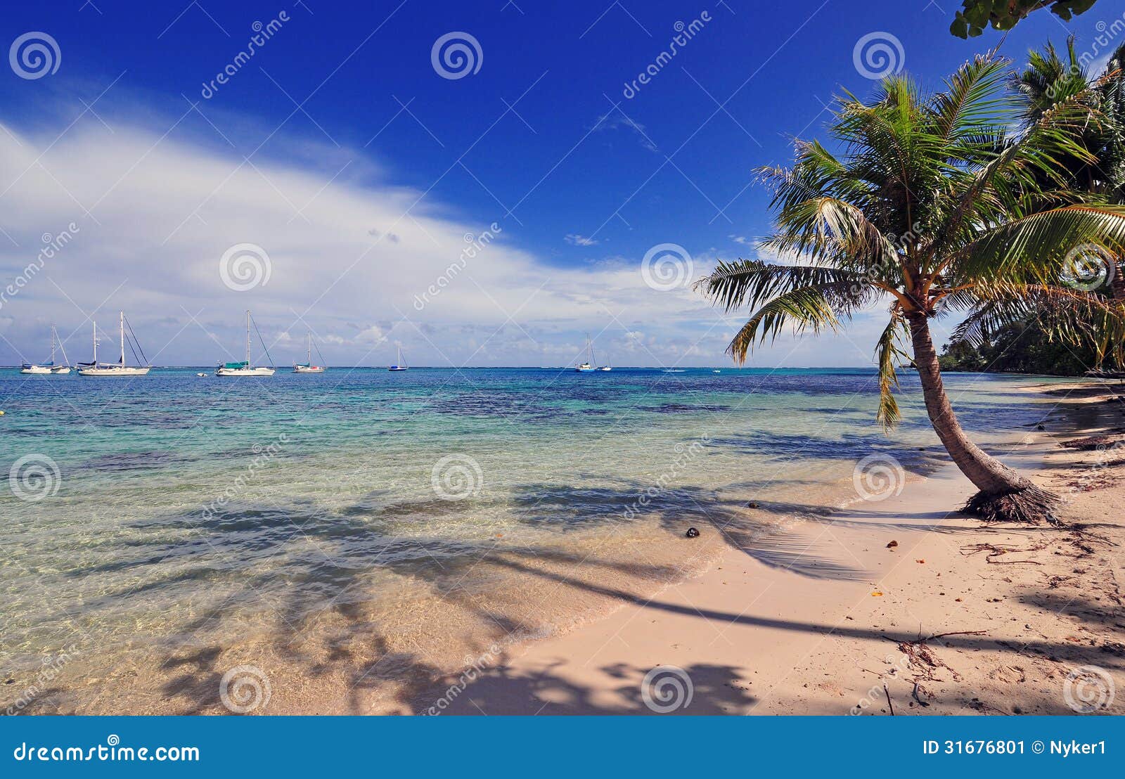 塔希提岛-法属玻利尼西亚-南太平洋 库存照片. 图片 包括有 指向, 热带, 节假日, 海洋, 比基尼泳装 - 27776438