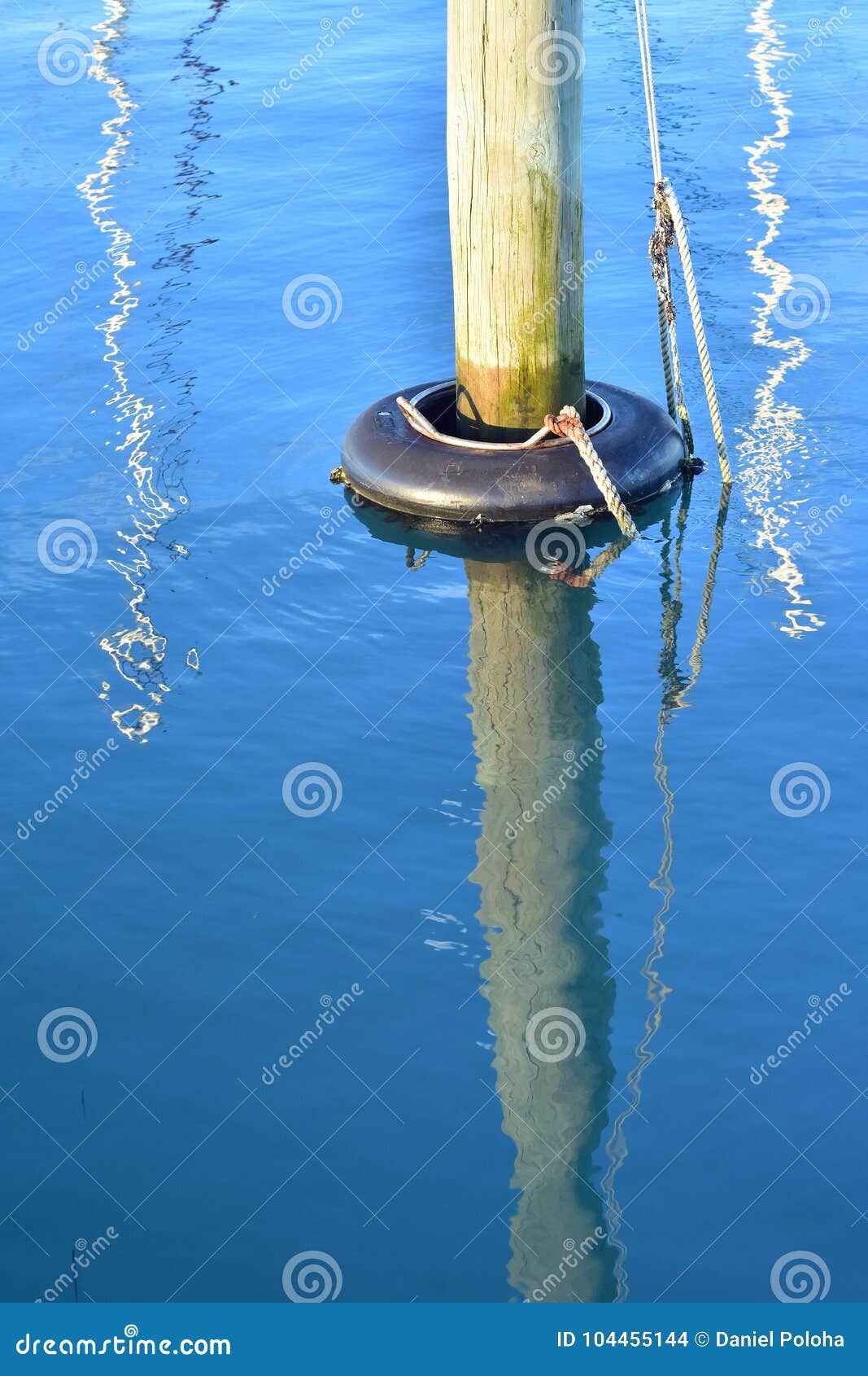 Mooring Pole with Float and Rope Stock Photo Image of dock, knot 104455144