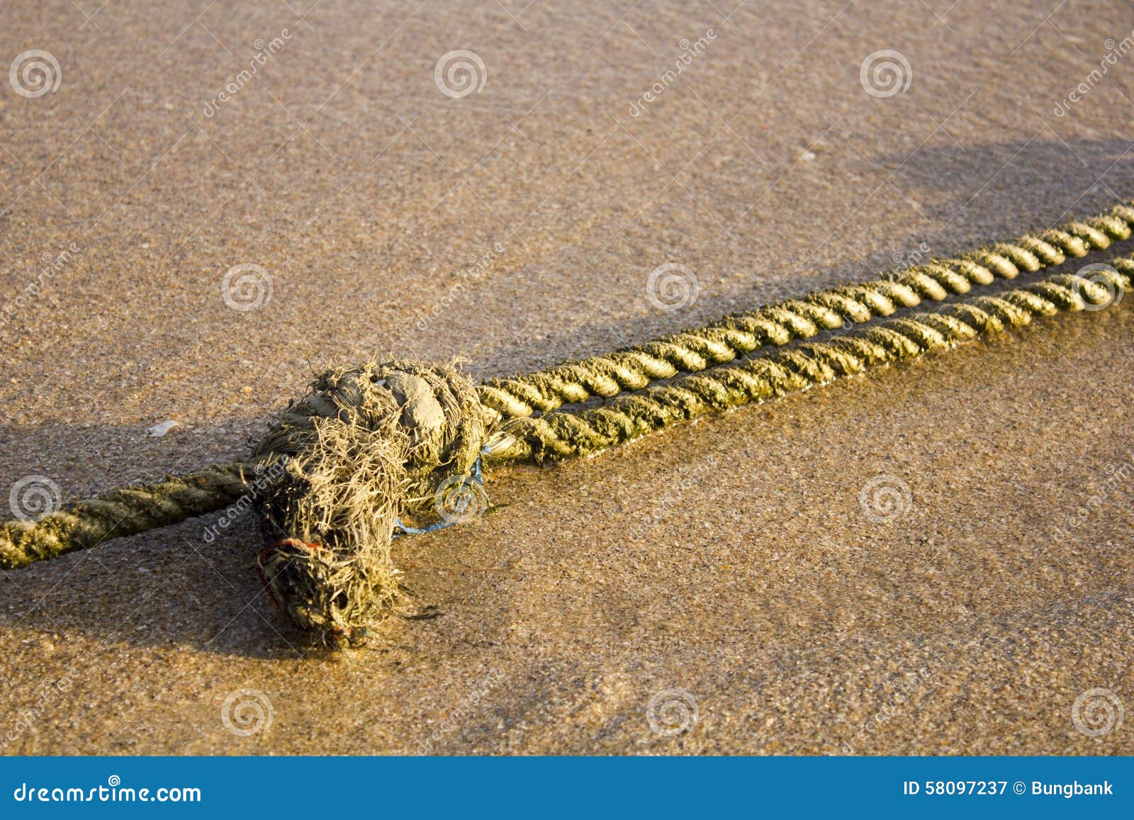 Mooring Rope with Knots on Fine Sand Stock Image Image of coast, sand