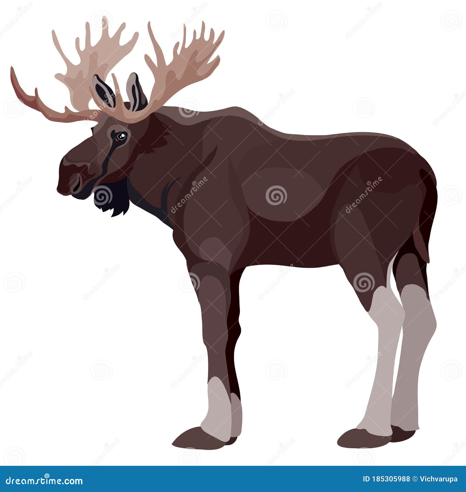 moose elk in natural style,  object on a white background,  