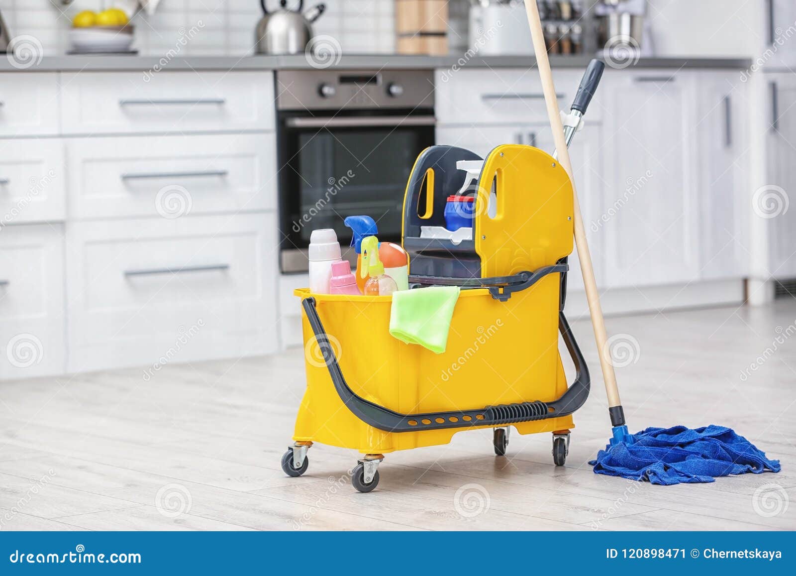 Mop Bucket with Cleaning Supplies Stock Image Image of housekeeping
