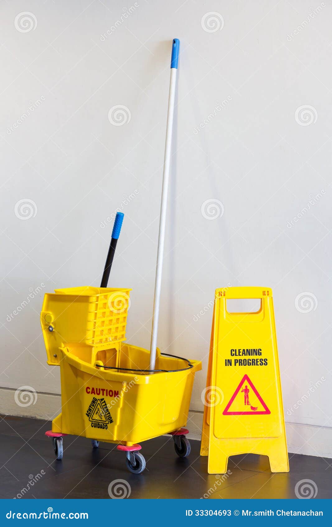 mop bucket and wringer