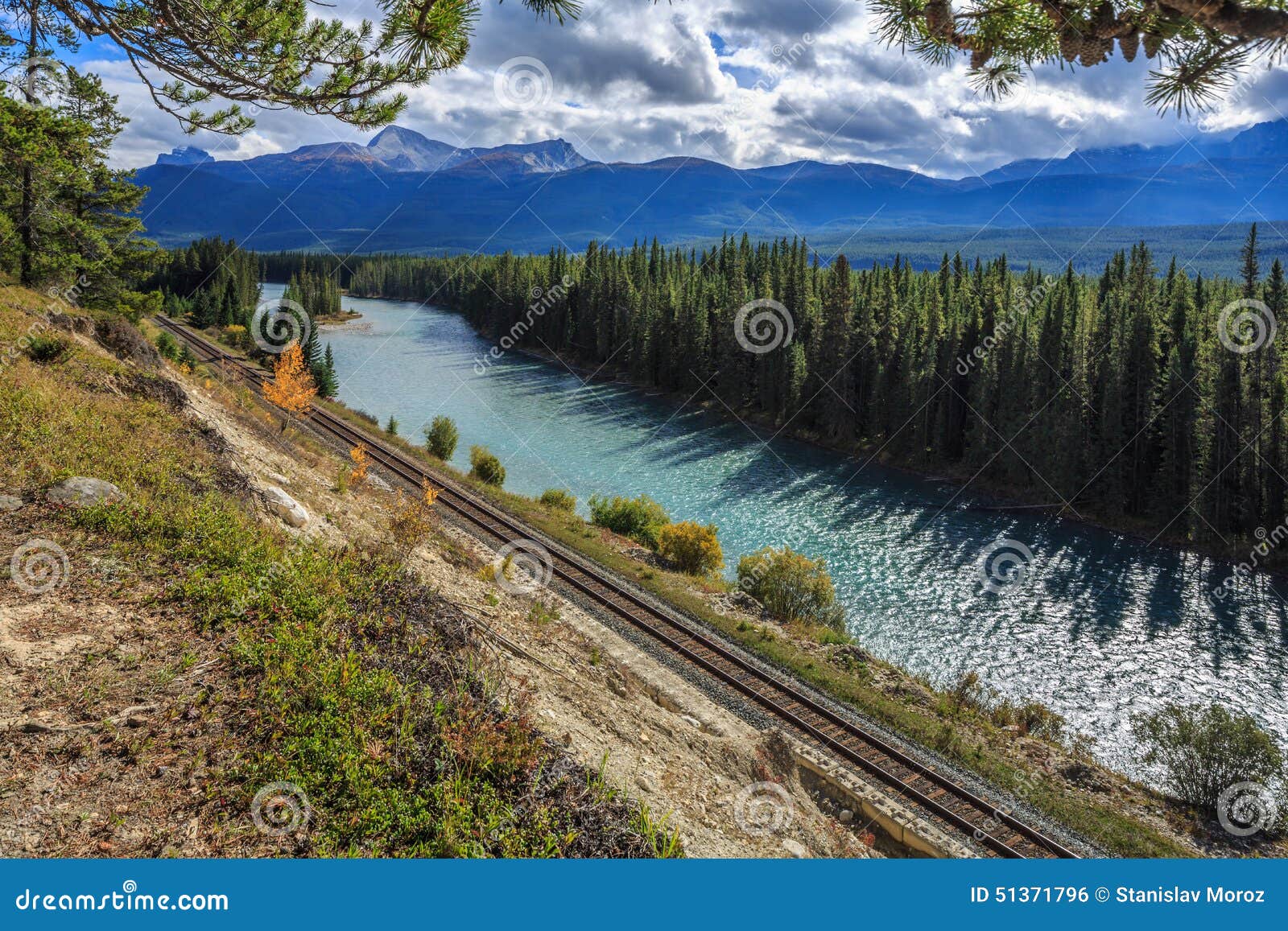 Morant s Curve  stock photo Image of beautiful green 