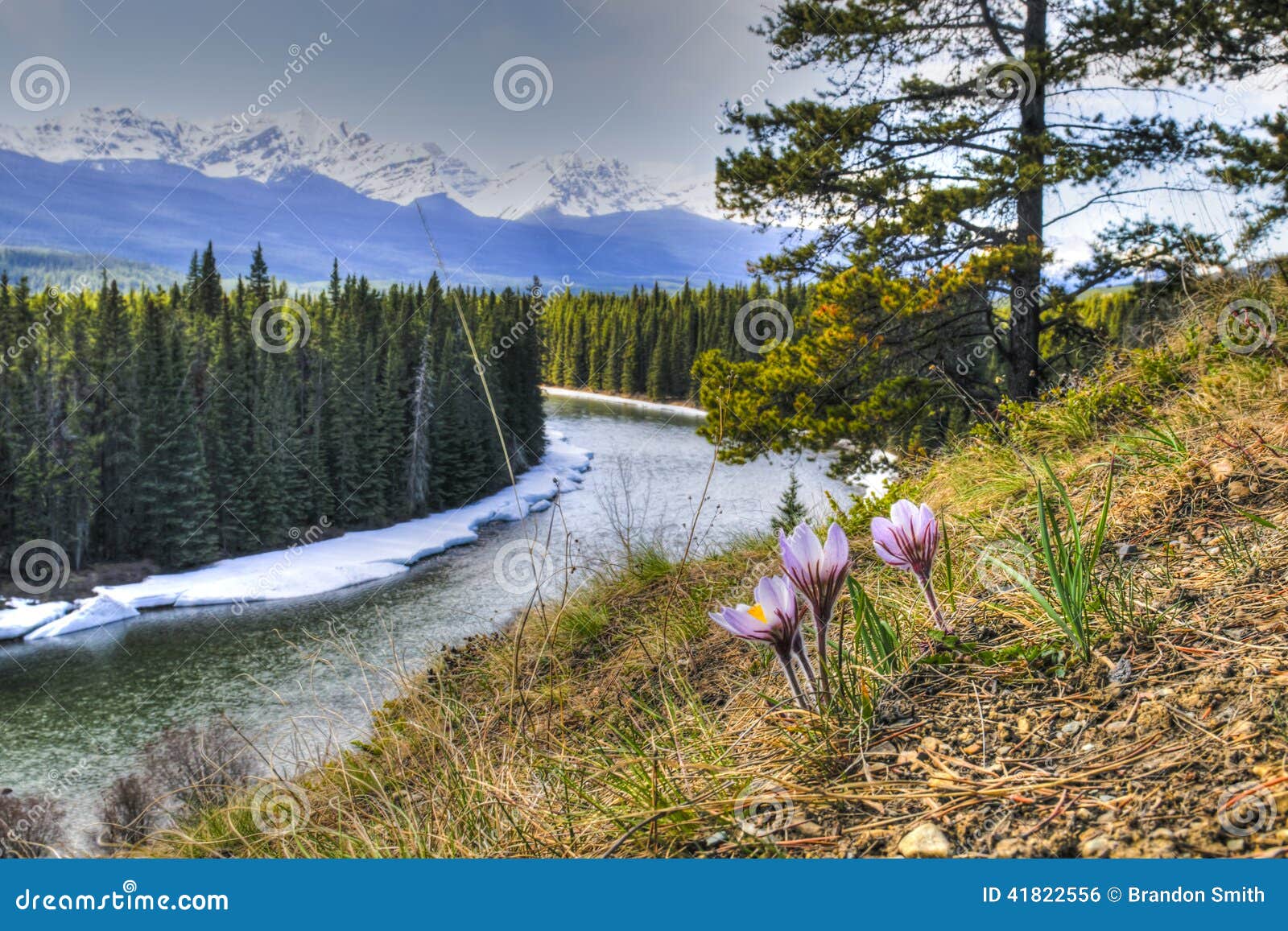 Morant s Curve  stock photo Image of outdoor banff 