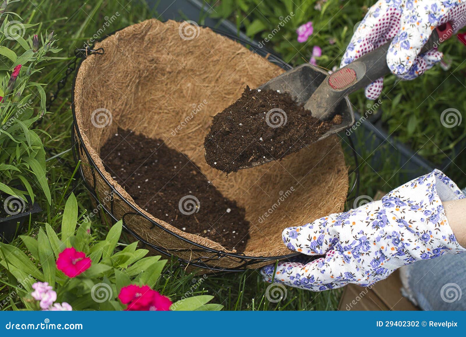 more potting soil