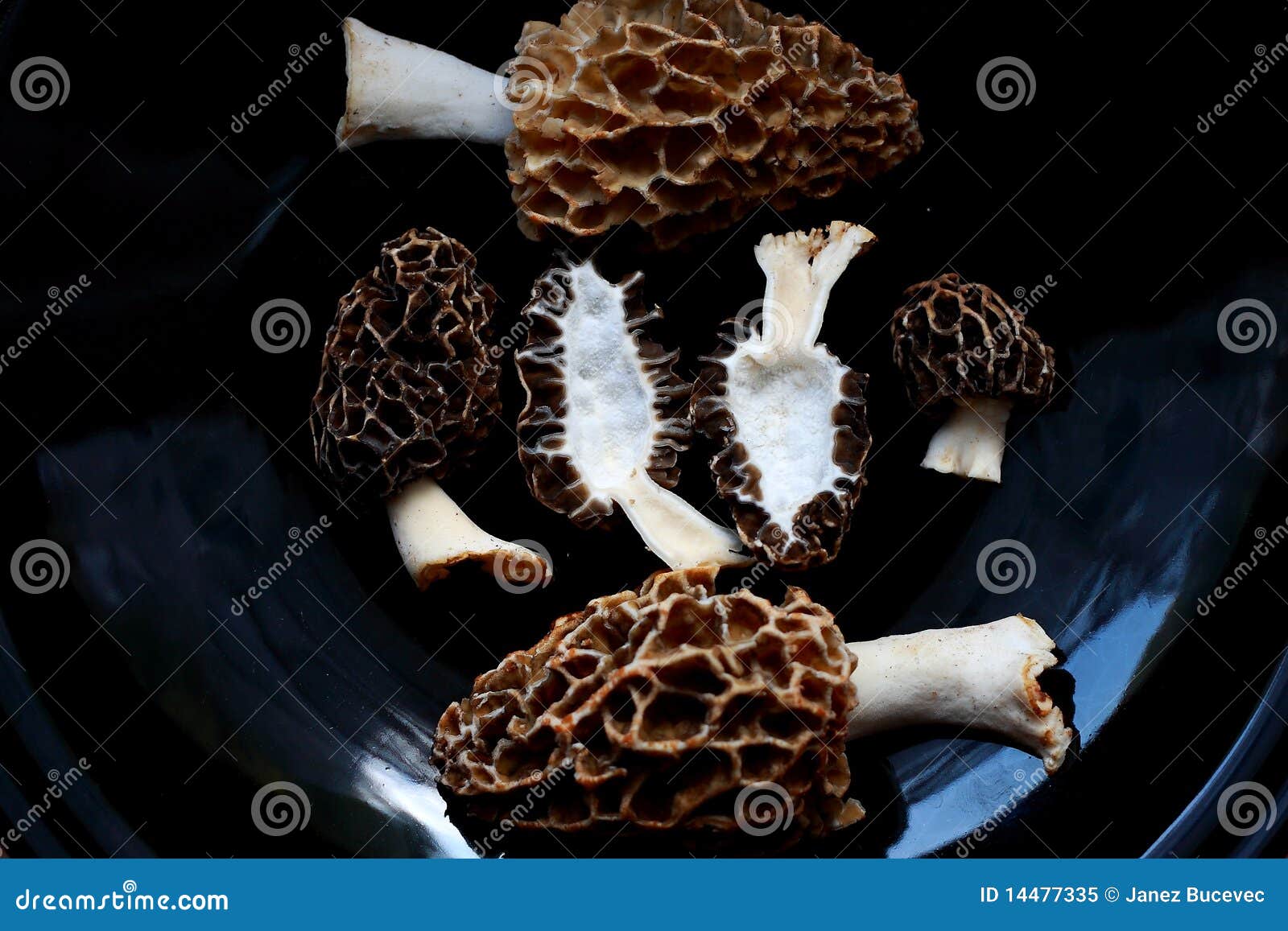 Cooking Of Morel Mushrooms. Edible Delicious Mushroom, Early Spring