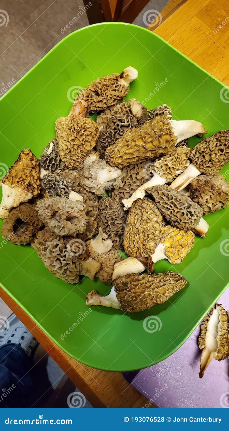 Morel Harvest Michigan stock photo. Image of crop, dessert 193076528