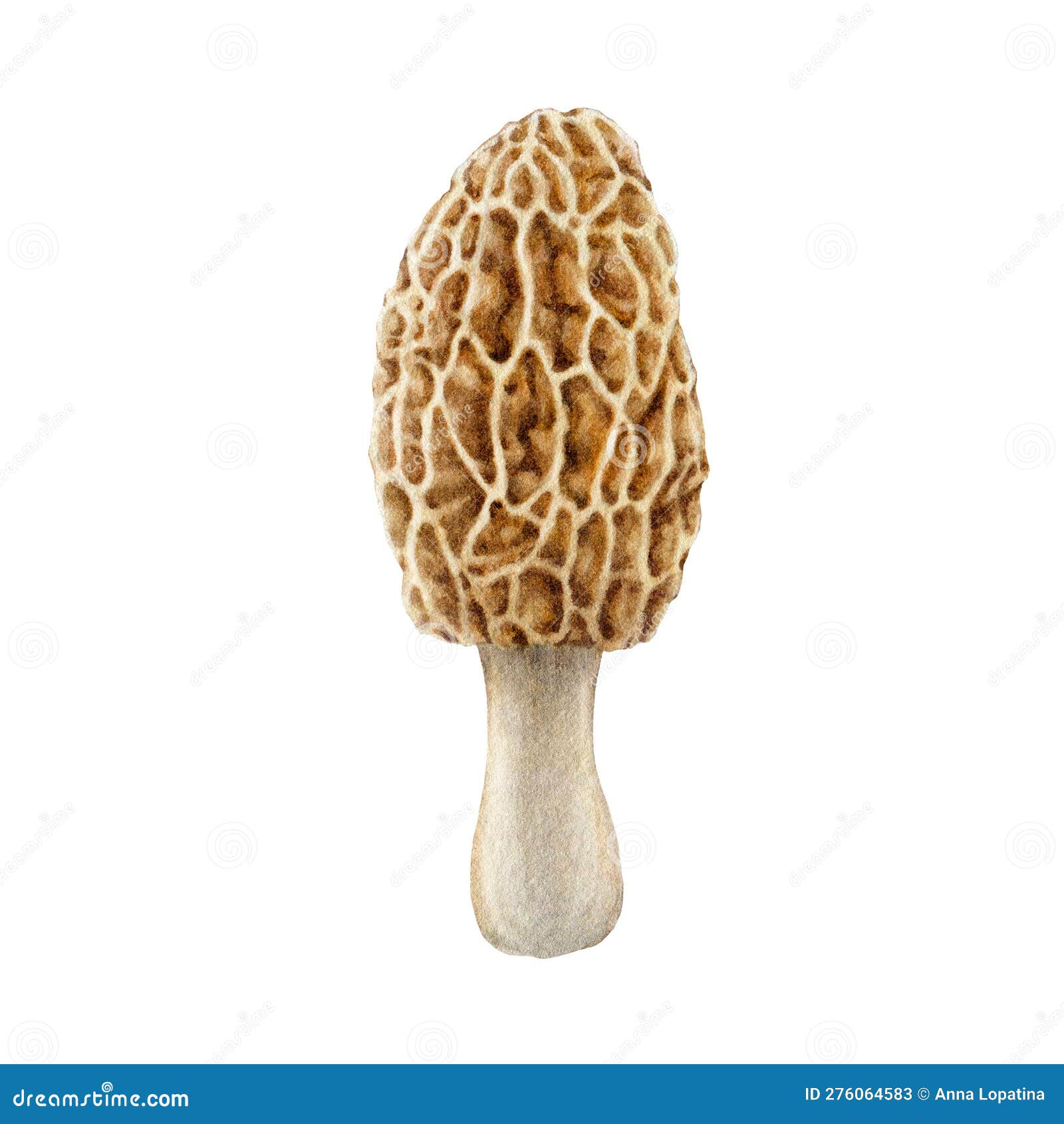 My Image 32