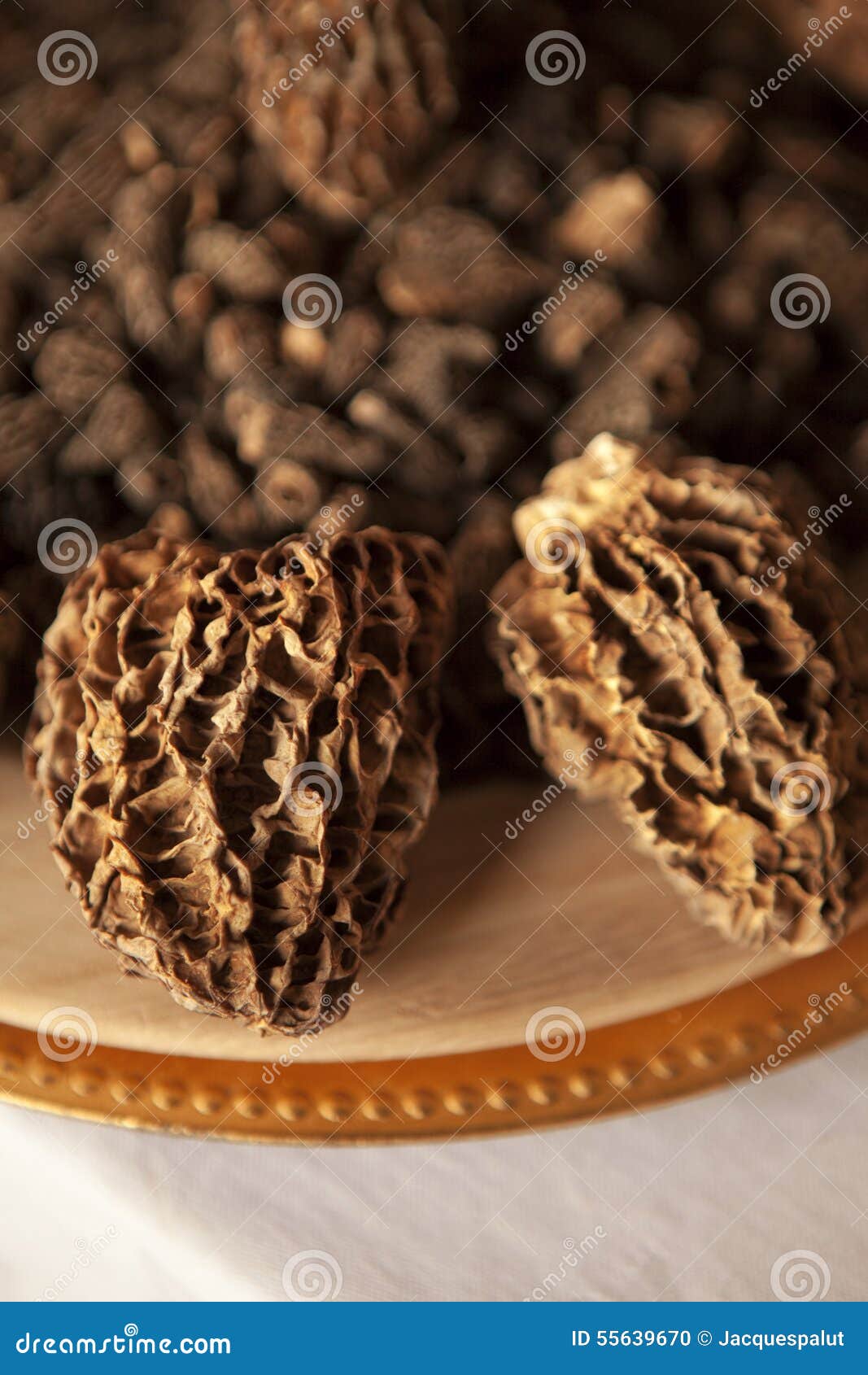Morels stock photo. Image of stall, focus, morel, ingredient 55639670