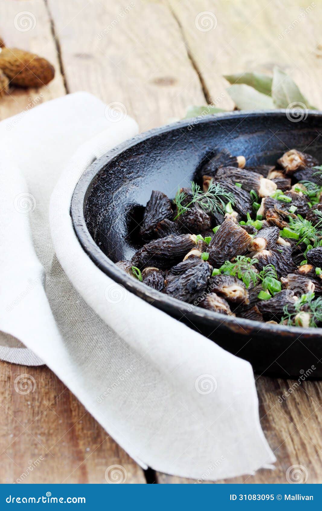 Morels in a pan stock image. Image of dill, heat, mixing 31083095