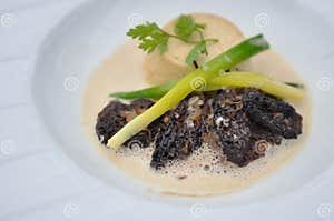 Morels With Sauce Stock Photo Image Of Cooking Delicious 19983074