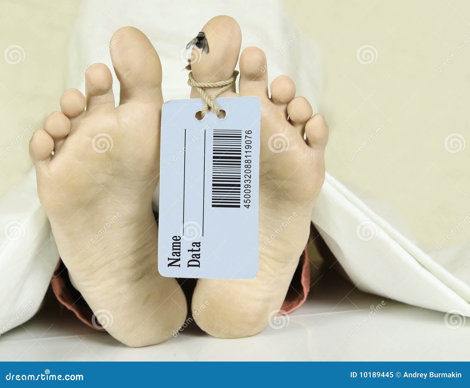 Morgue stock image. Image of person, crime, identity - 10189445