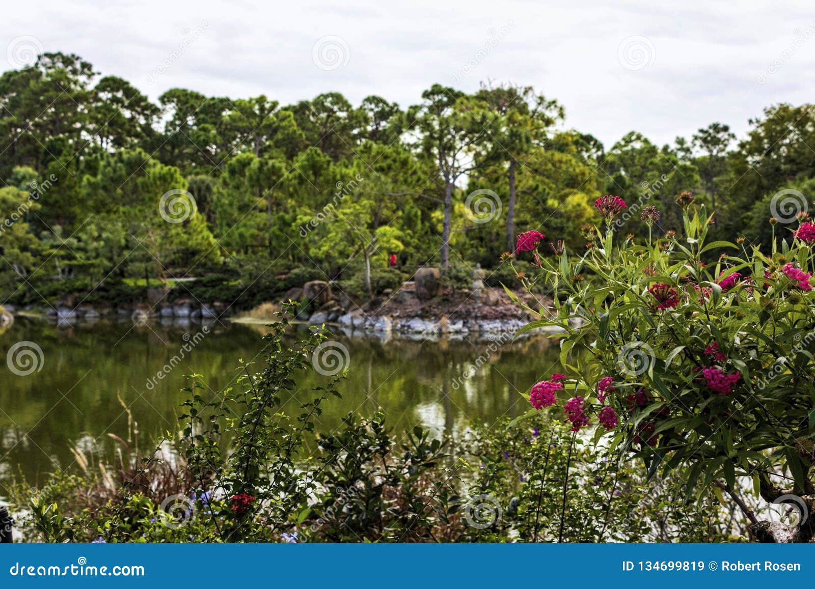 Morikami Museum And Japanese Garden Delray Beach Florida Stock