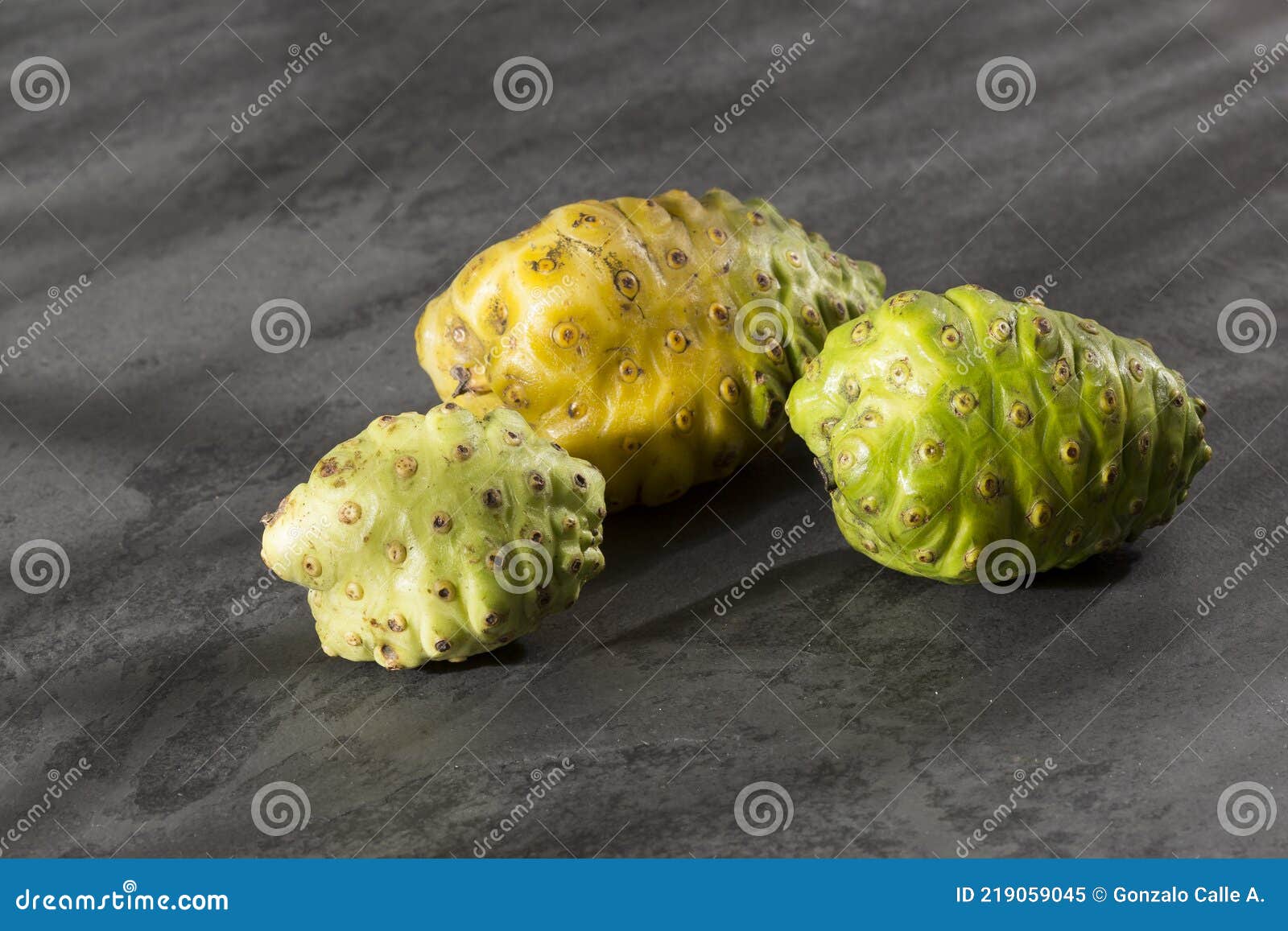 Morinda Citrifolia Noni Fruit with Many Medicinal Properties Stock