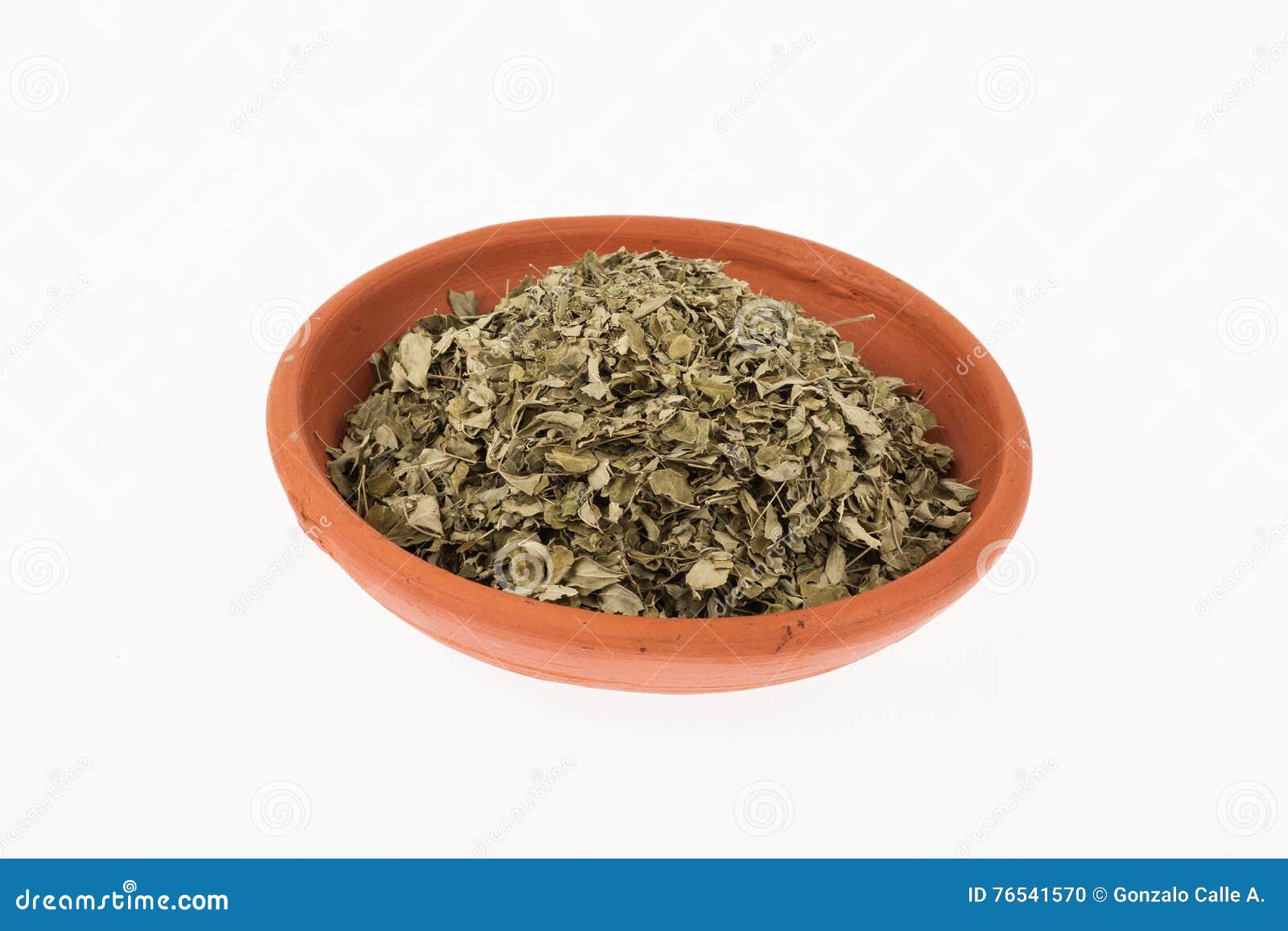 Leaves Of The Medicinal Plant Very Poisonous Poison Sumac, Rhus Toxicodendron, In Summer