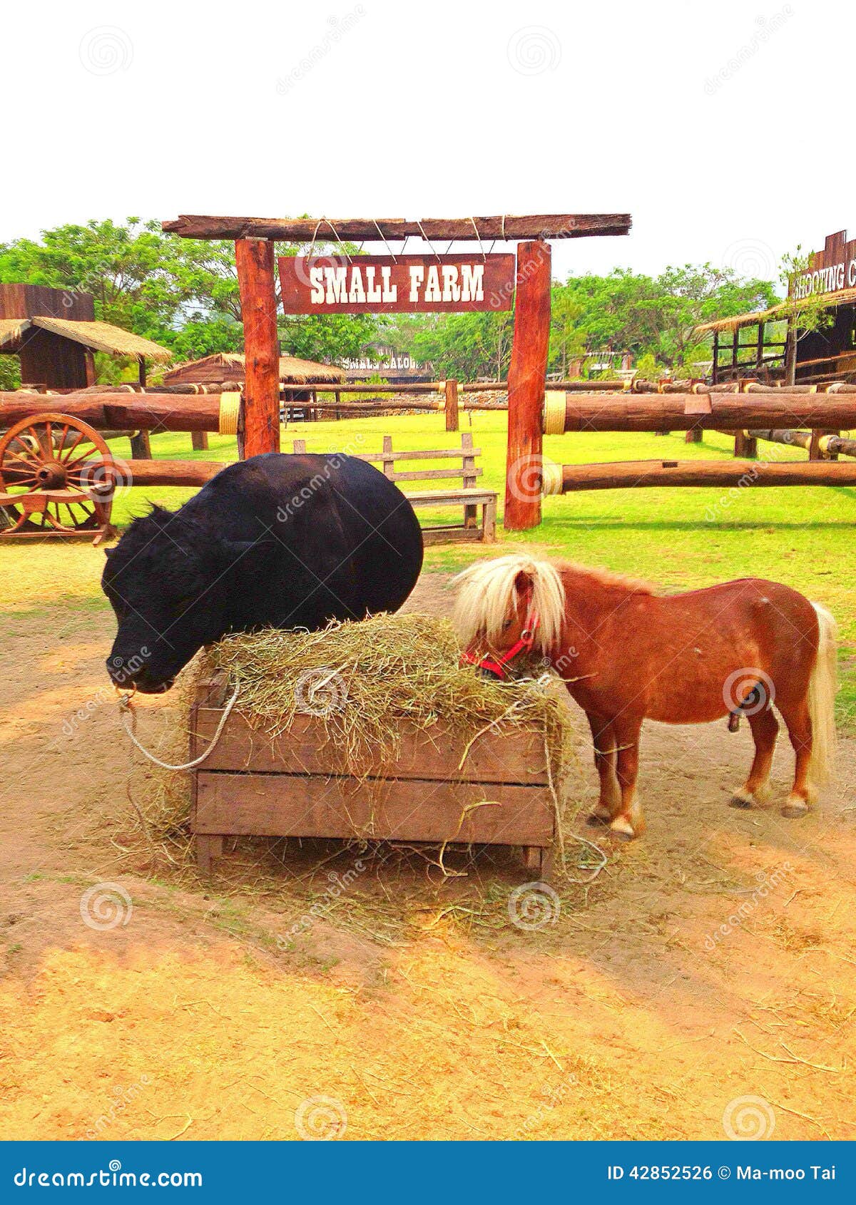 Morning stock photo. Image of small, enjoy, farm, eating 42852526