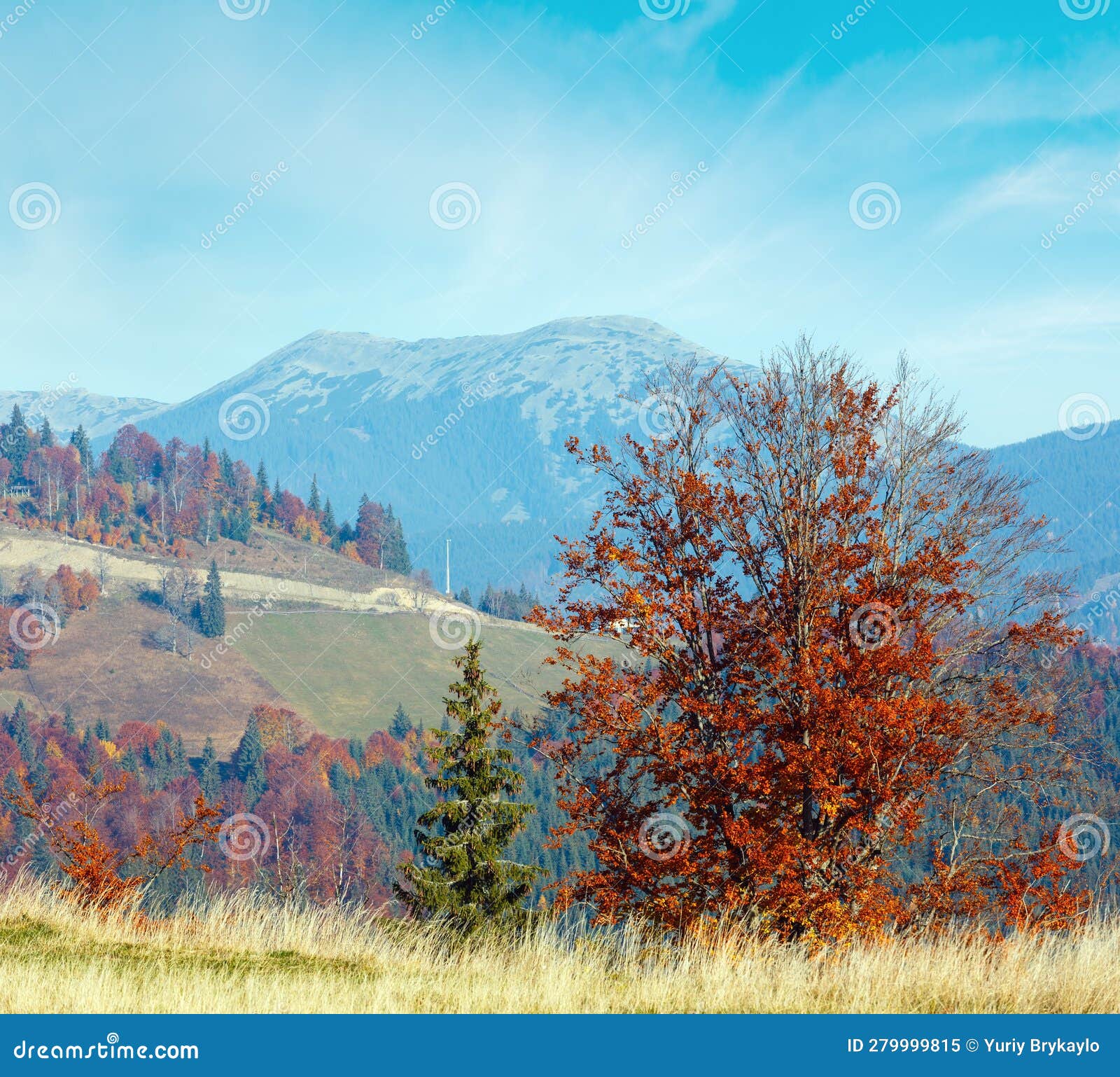 morning autumn carpathians landscape