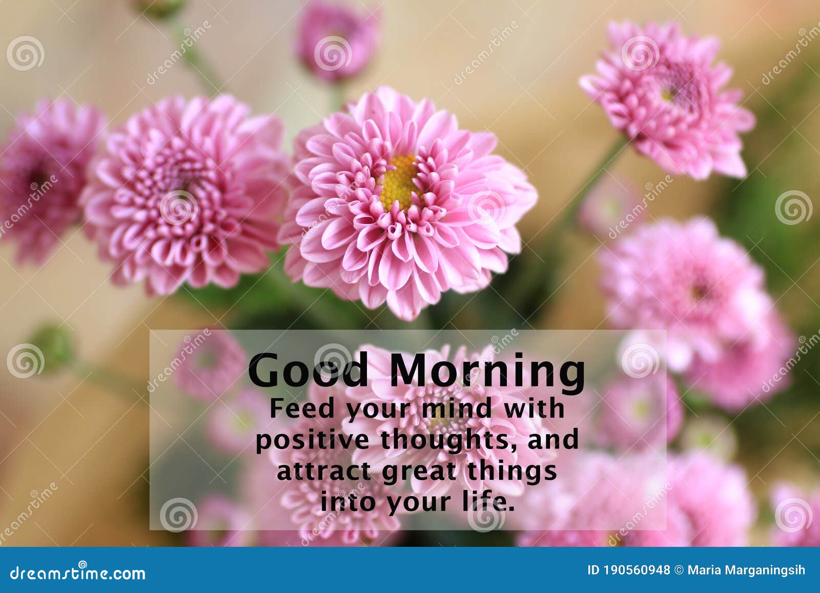 Good Morning. Feed Your Mind with Positive Thoughts and Attract ...