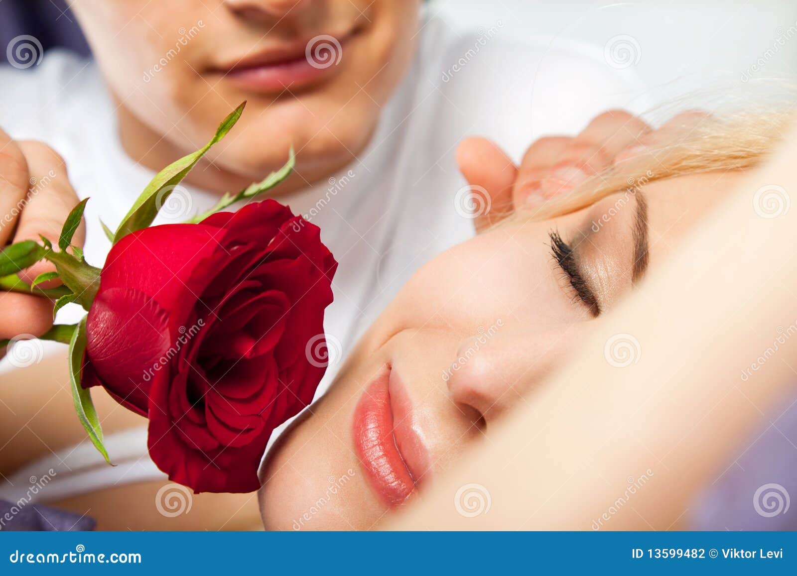 Morning couple rose stock photo. Image of rose, romantic - 13599482