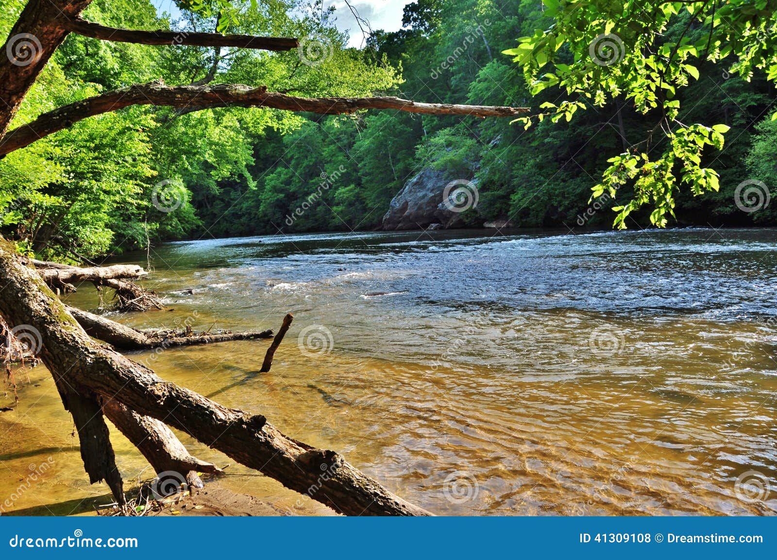 Morning on Dan river stock photo. Image of bass, stream 41309108