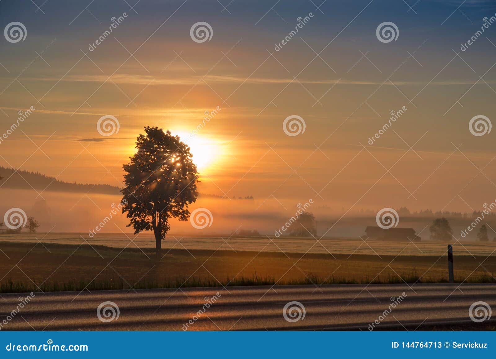 morning dawning sun over hazy field and country road
