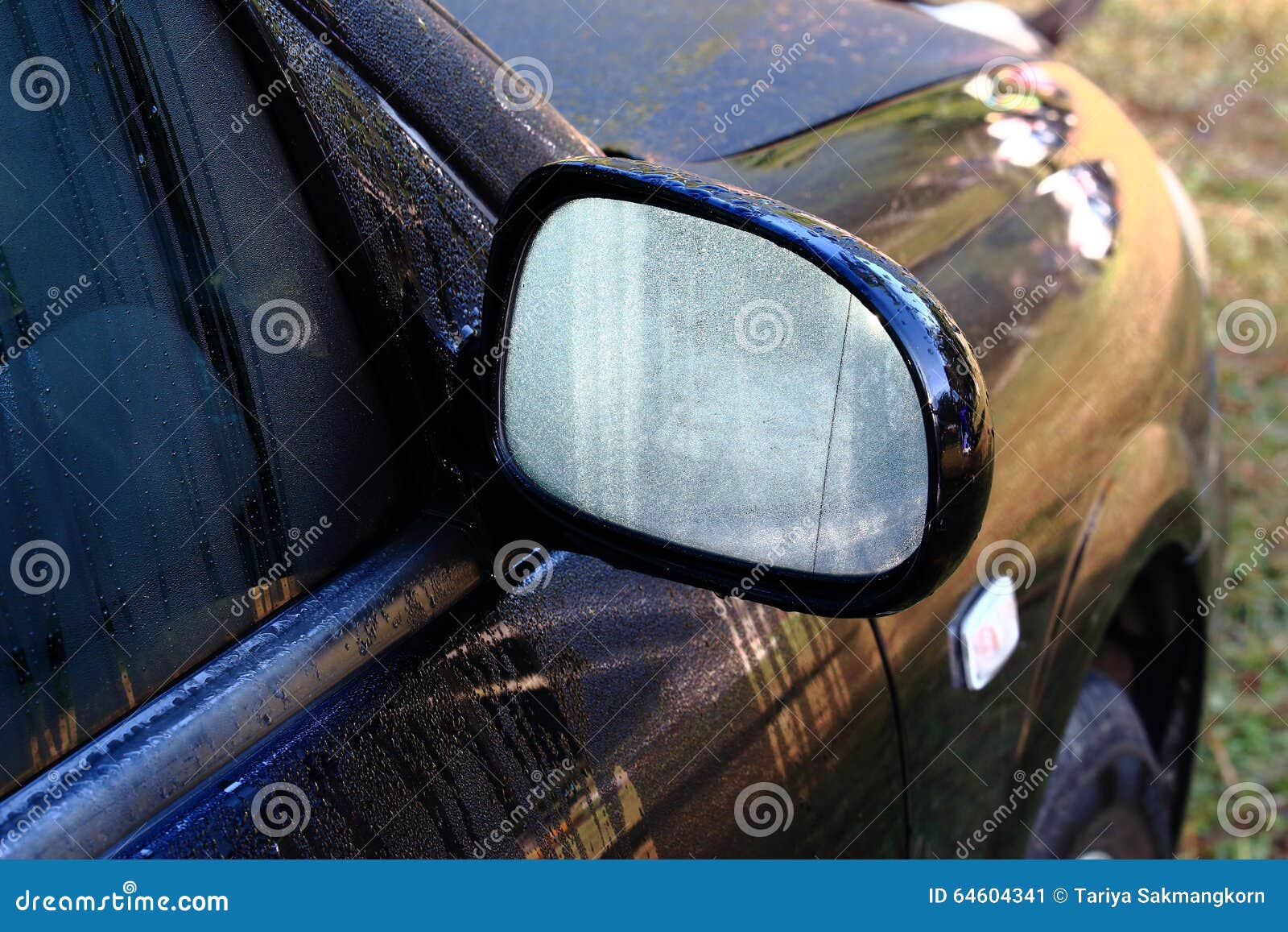 Morning Dew on the Wing Mirror of Black Car Stock Image Image of