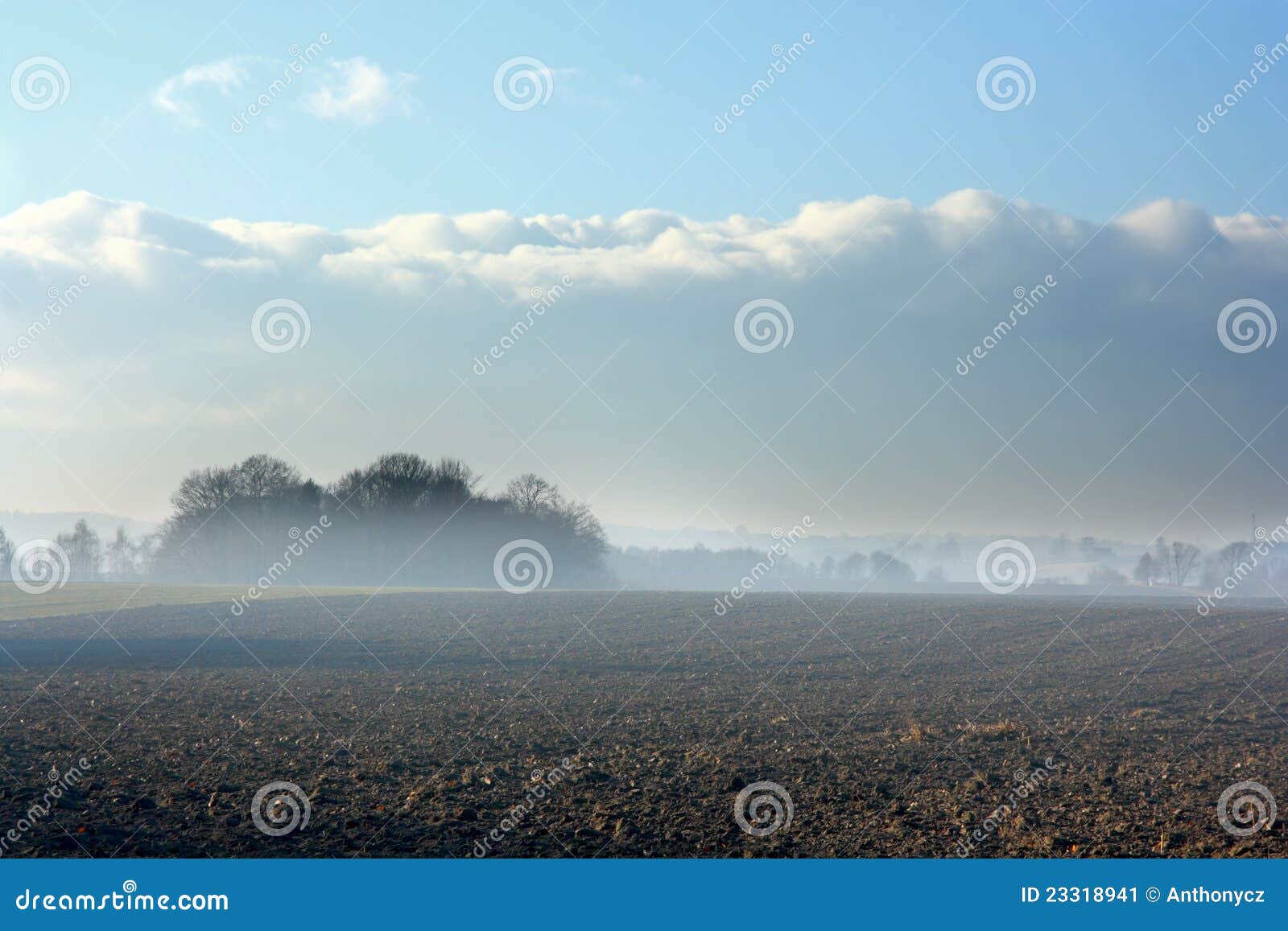 Morning field stock image. Image of farmland, light, spring 23318941