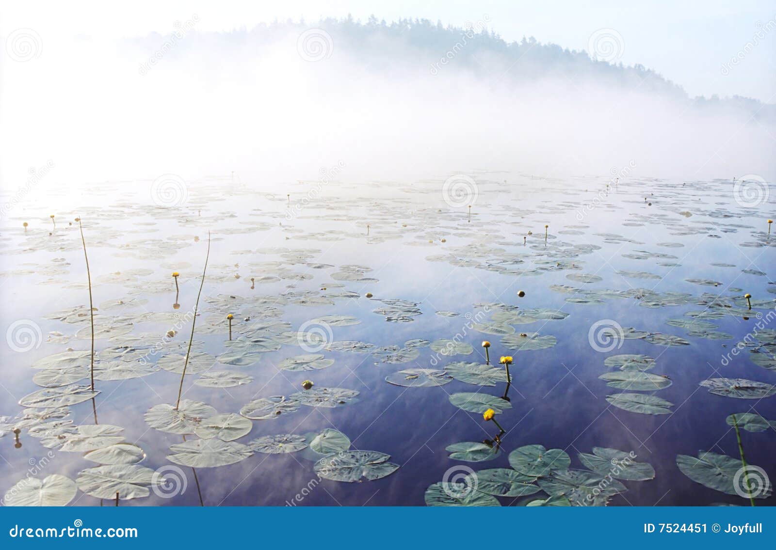 morning fog on wild forest lake in karelia
