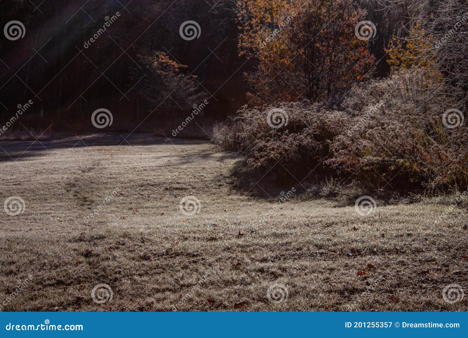 morning frost in loudon, new hampshire