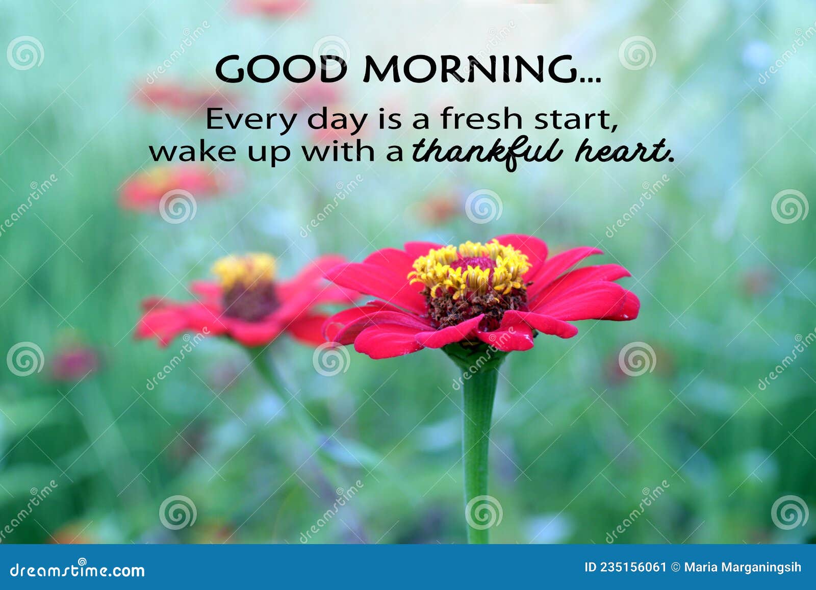 Morning Greeting Card with Positive Inspirational Message - Every Day ...