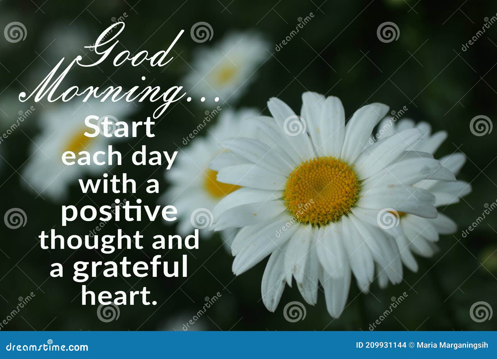 Morning Inspirational Quote - Good Morning. Start Each Day with a ...