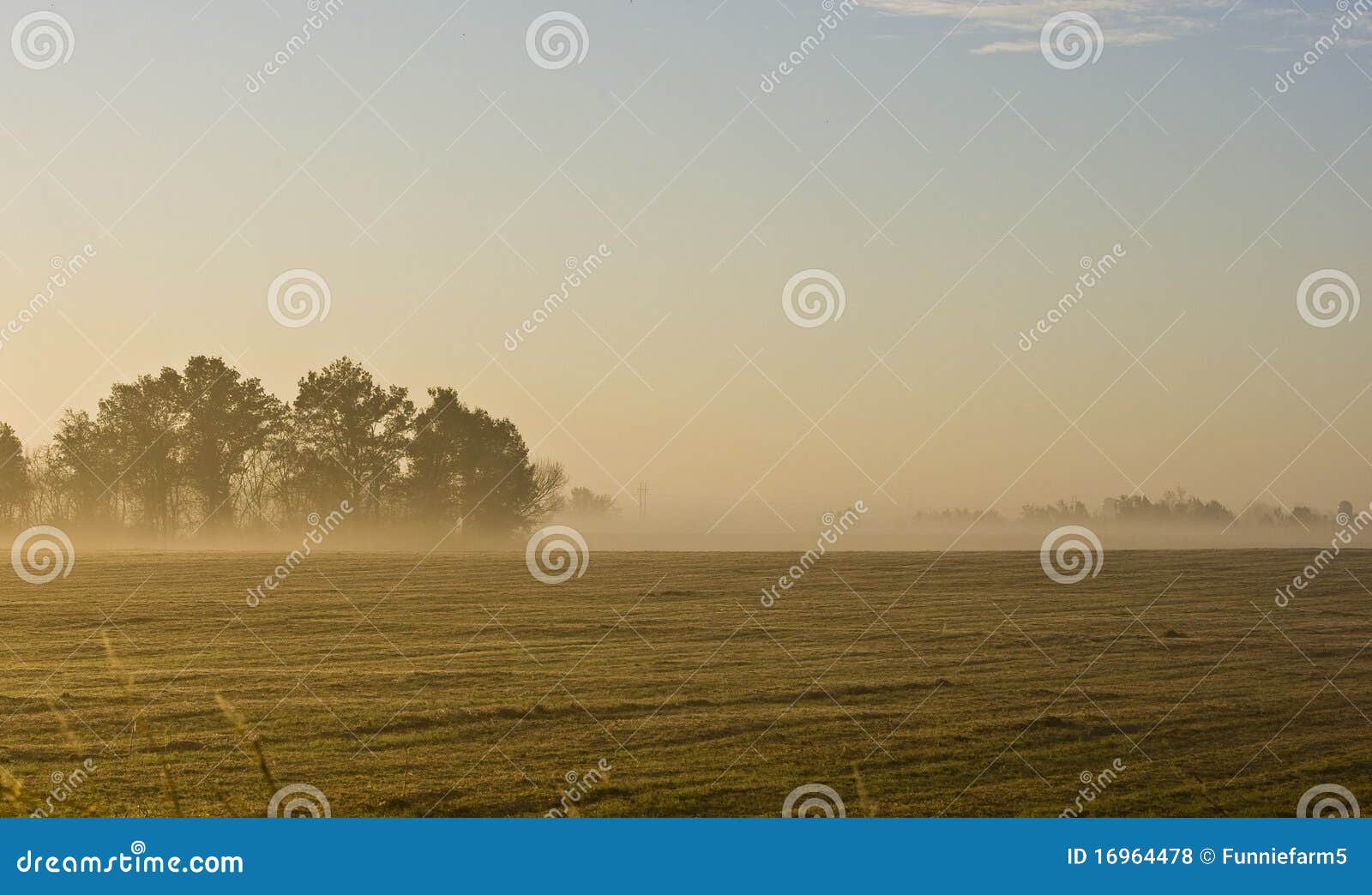 morning landscape of missouri farm field