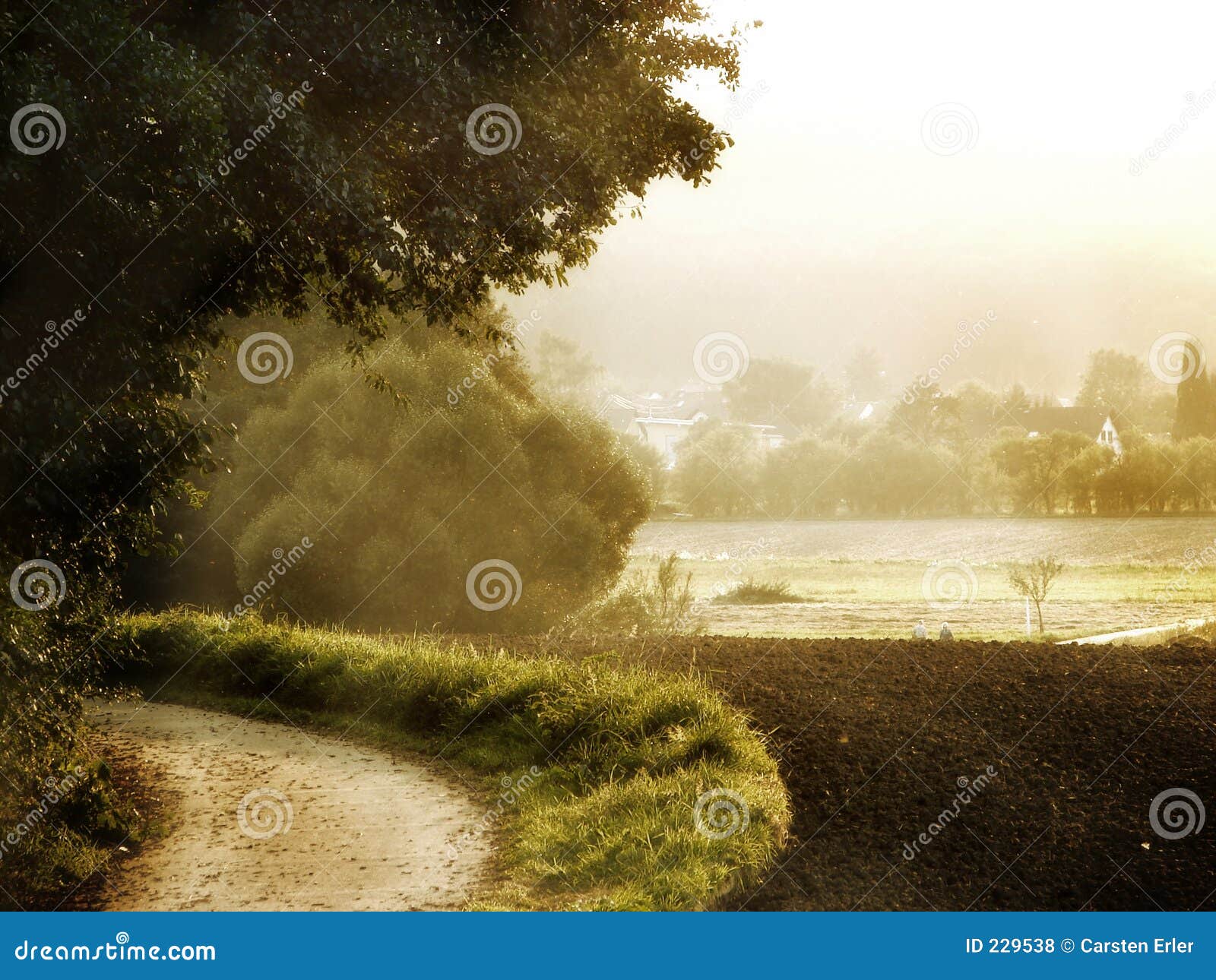morning light
