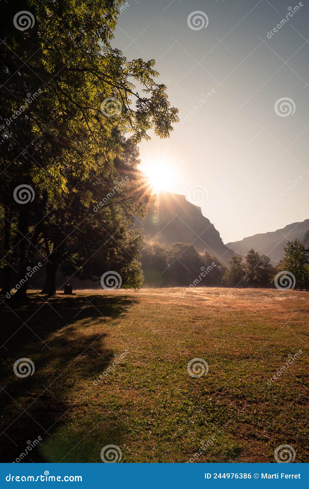 morning light at an alpine meadow