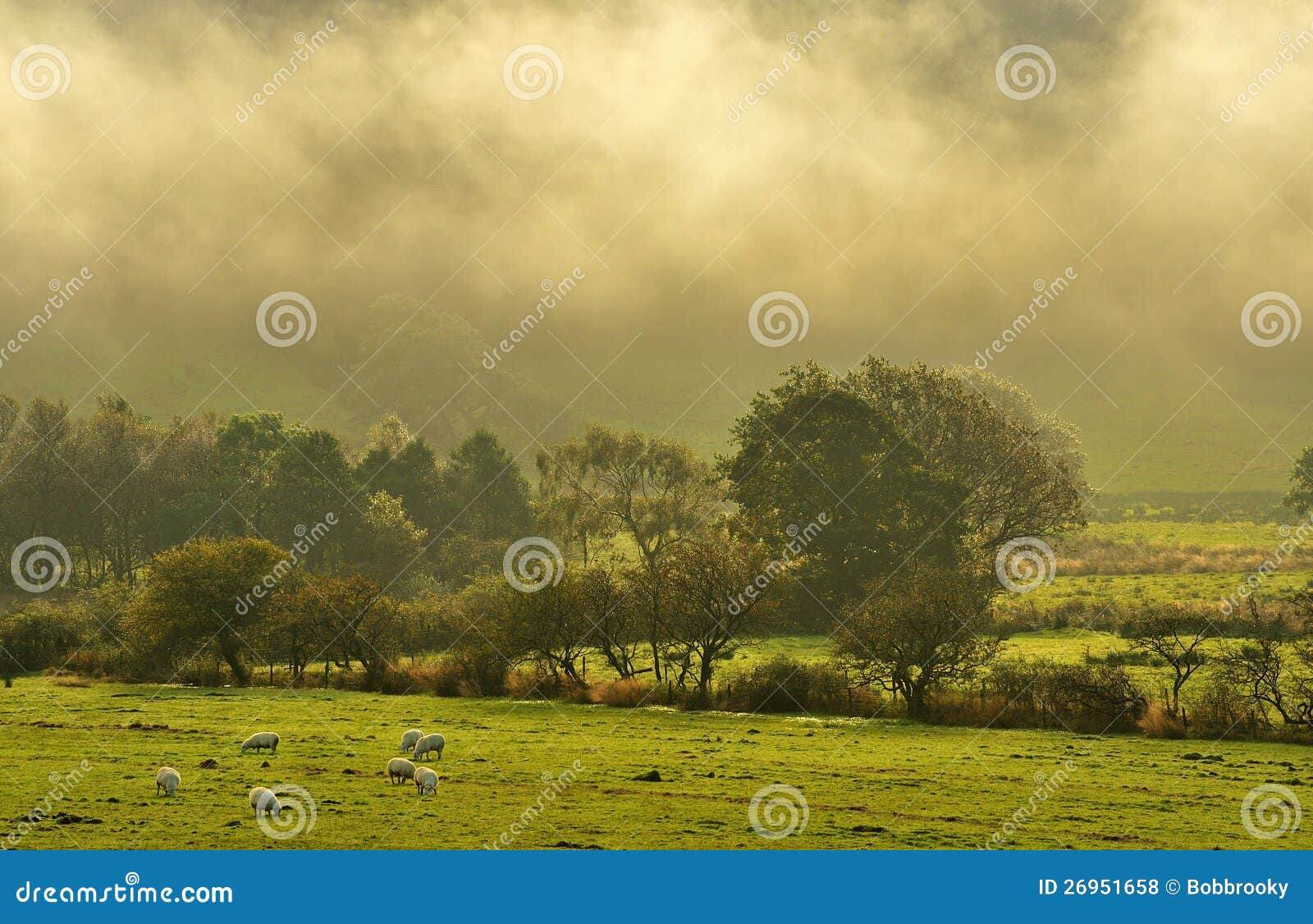 morning mist, caton lancashire