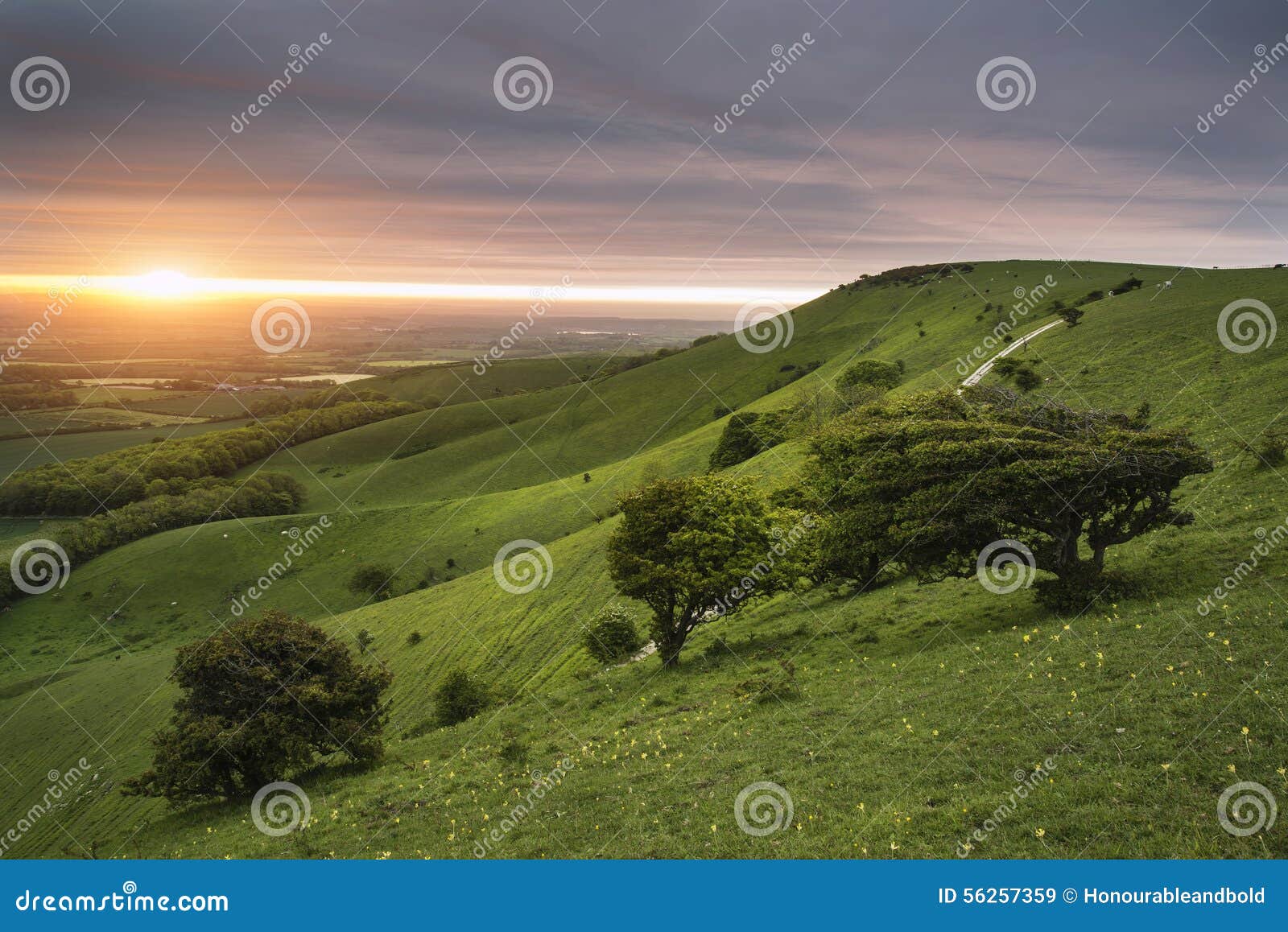 morning over rolling english countryside landscape in spring