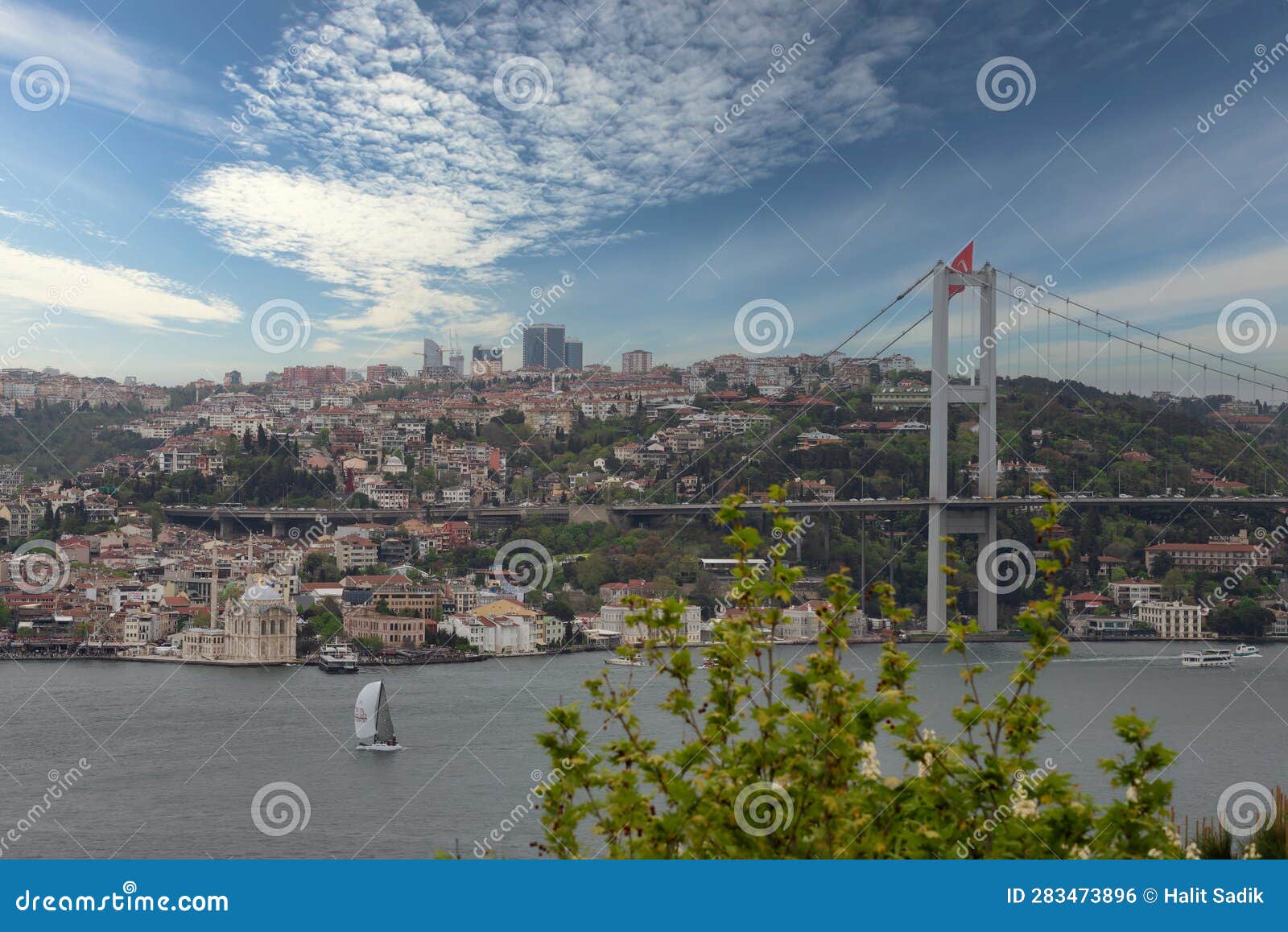 morning shot of istanbul city from fethi pasha grove overlooking bosphorus bridge, or bogazici koprusu, istanbul, turkey