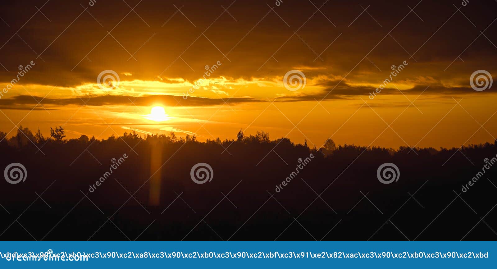 waking at dawn waking at dawn