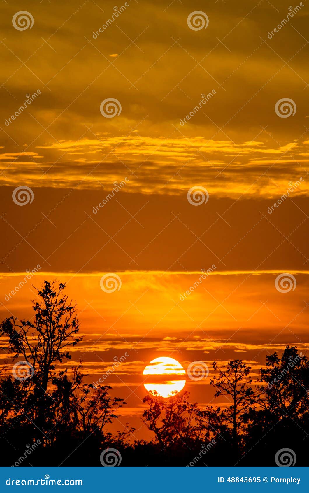 The morning sun stock image. Image of country, sunset 48843695