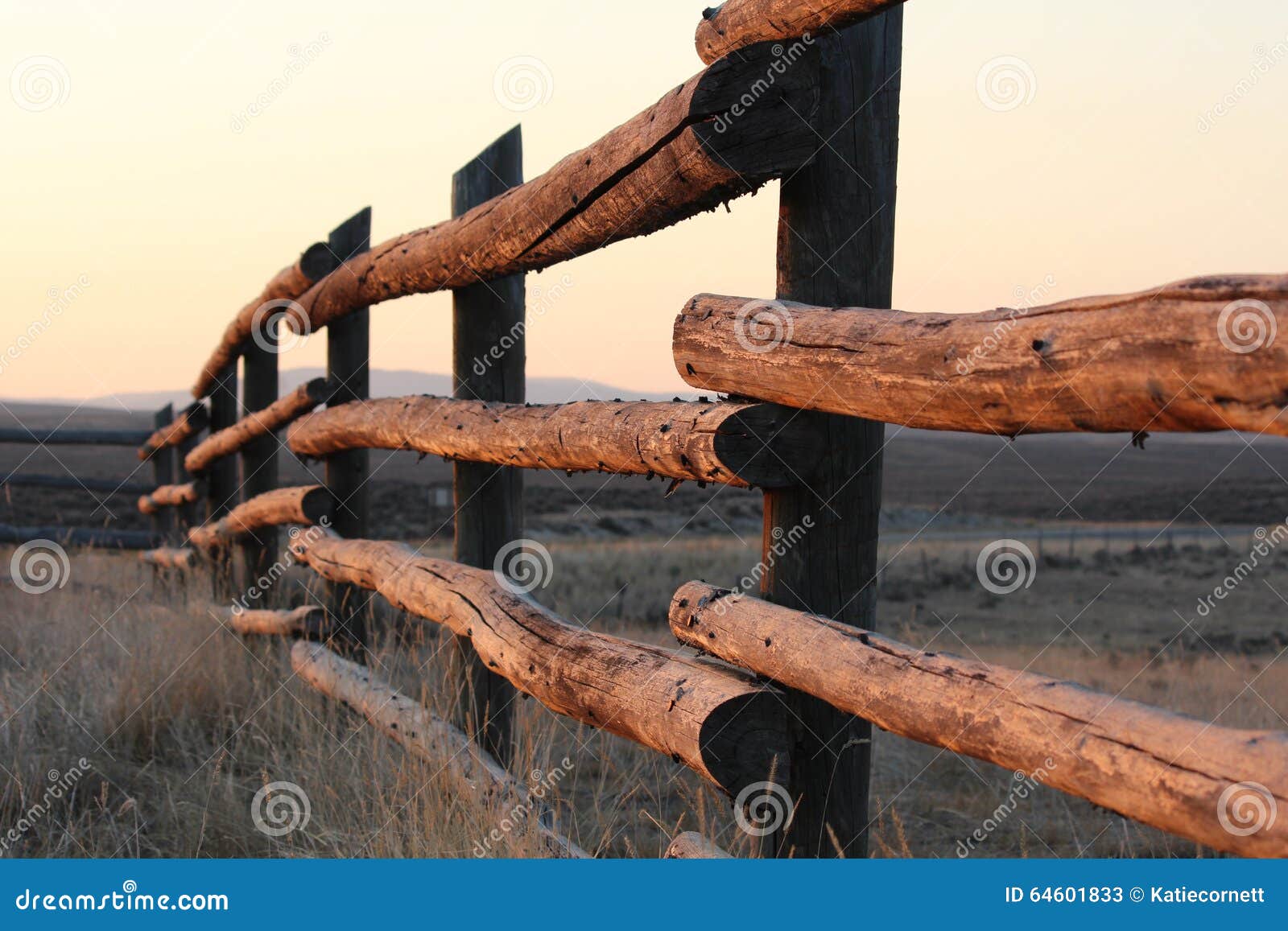 morning sun shining on a ranch fence in wyoming.