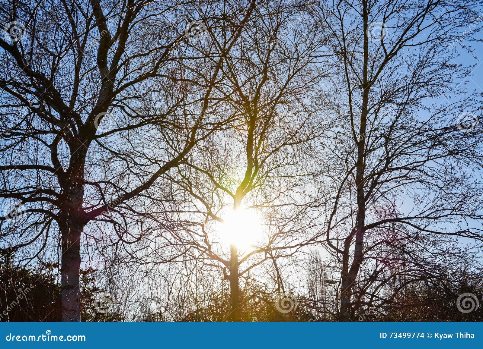 Morning sun in UK winter stock photo. Image of light 73499774