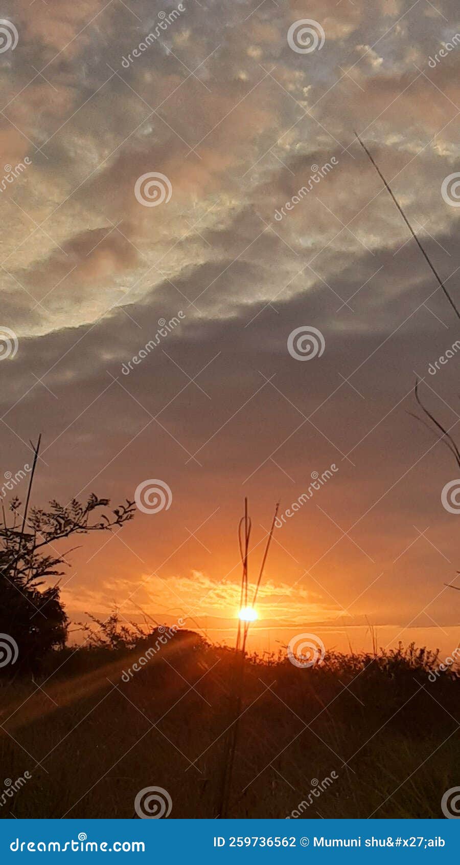 Morning sunlight rising stock photo. Image of reflection 259736562