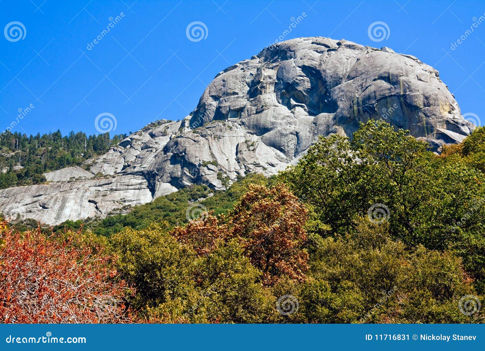 moro rock