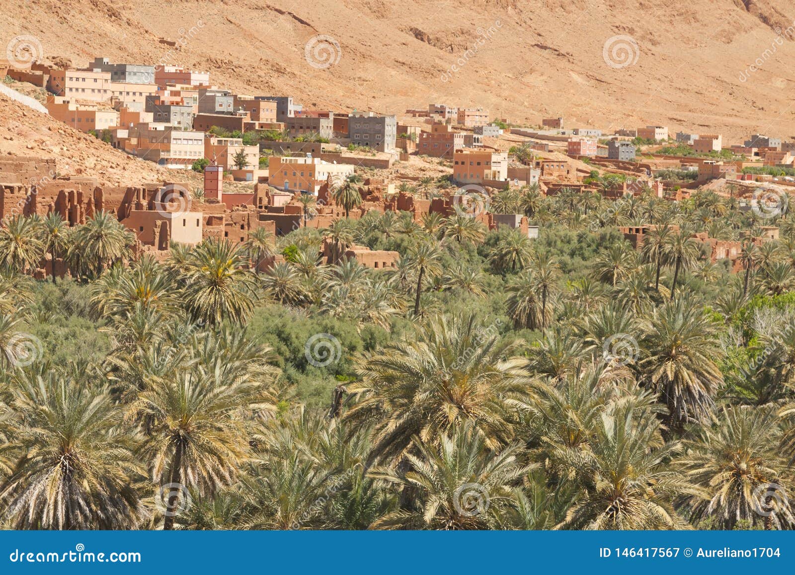 Morocco Ait Ijjou By Tinghir Oasis Date Palm Orchard Mountains
